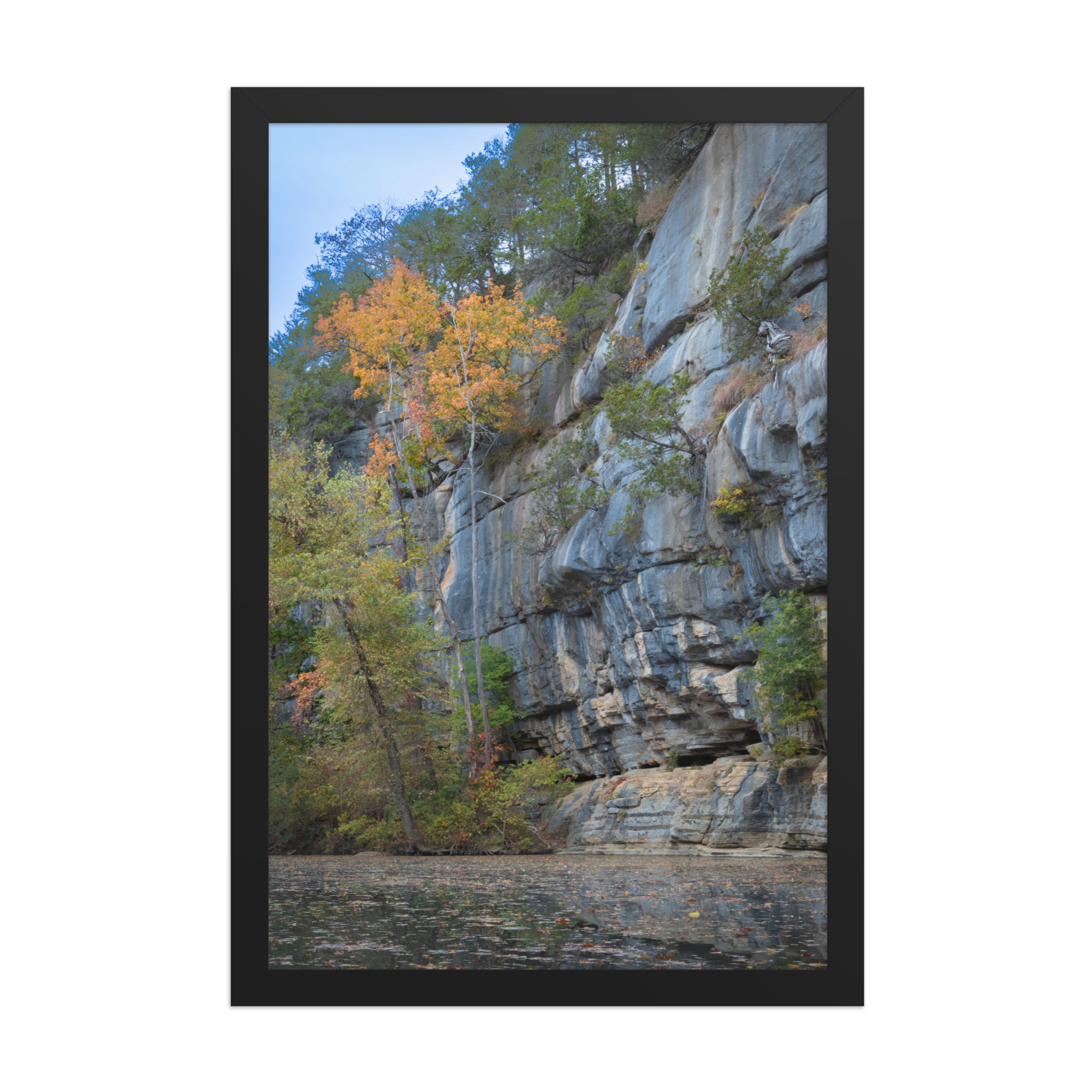 12 by 18 inch framed print, drawn to scale