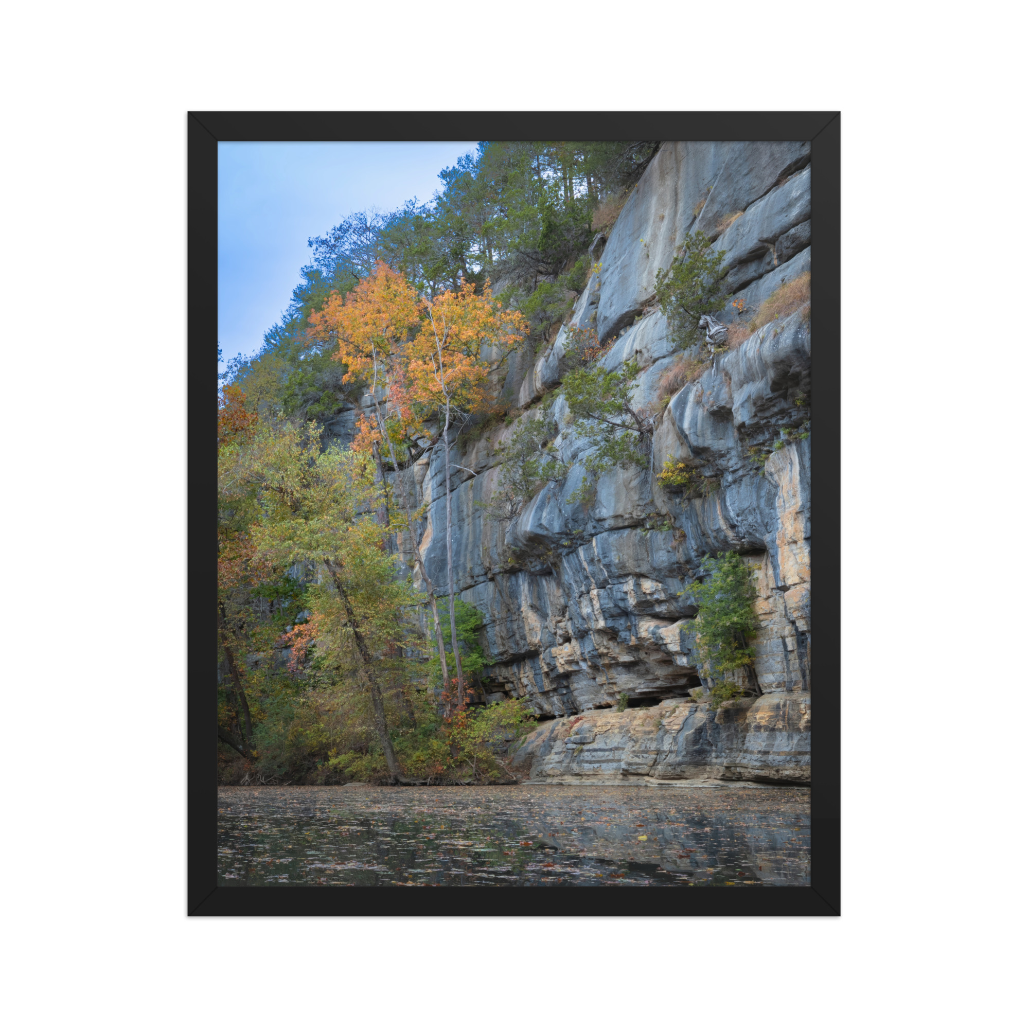 16 by 20 inch framed print, drawn to scale