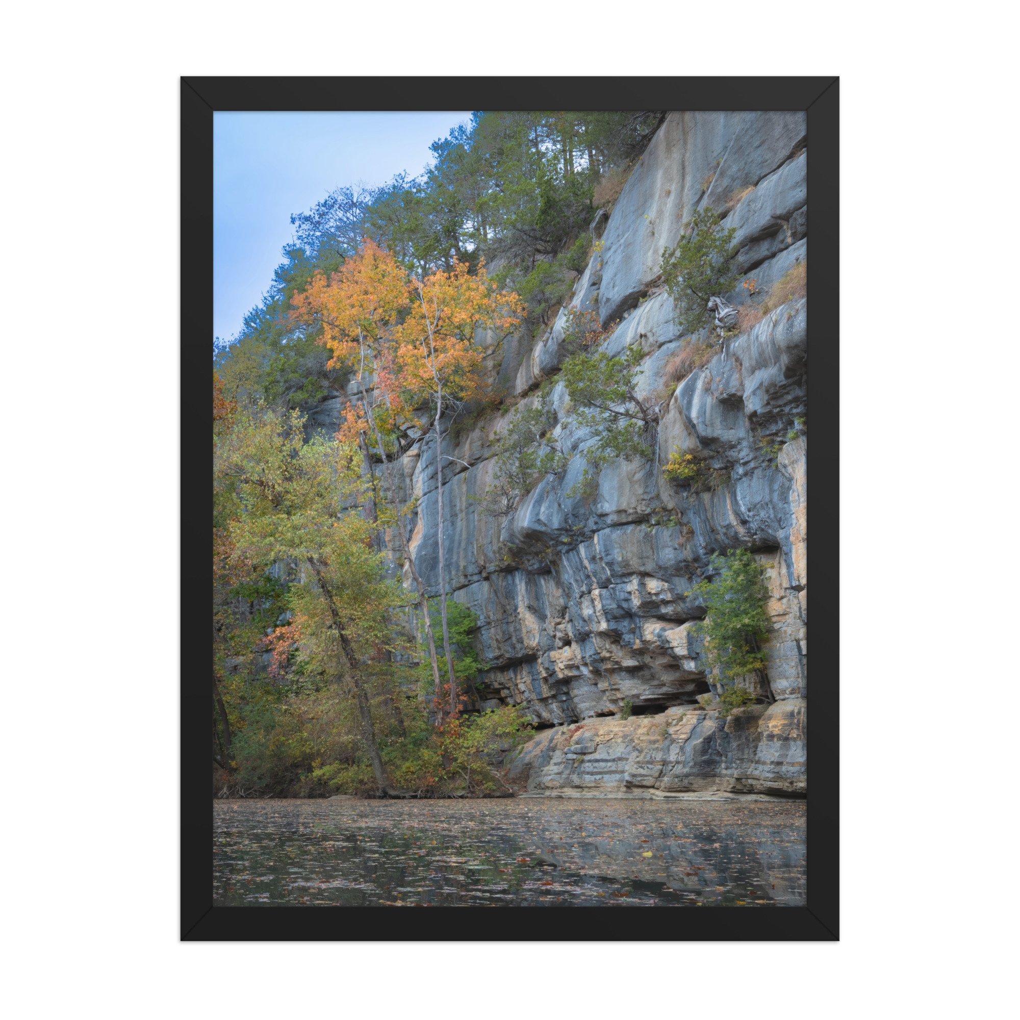 18 by 24 inch framed print, drawn to scale