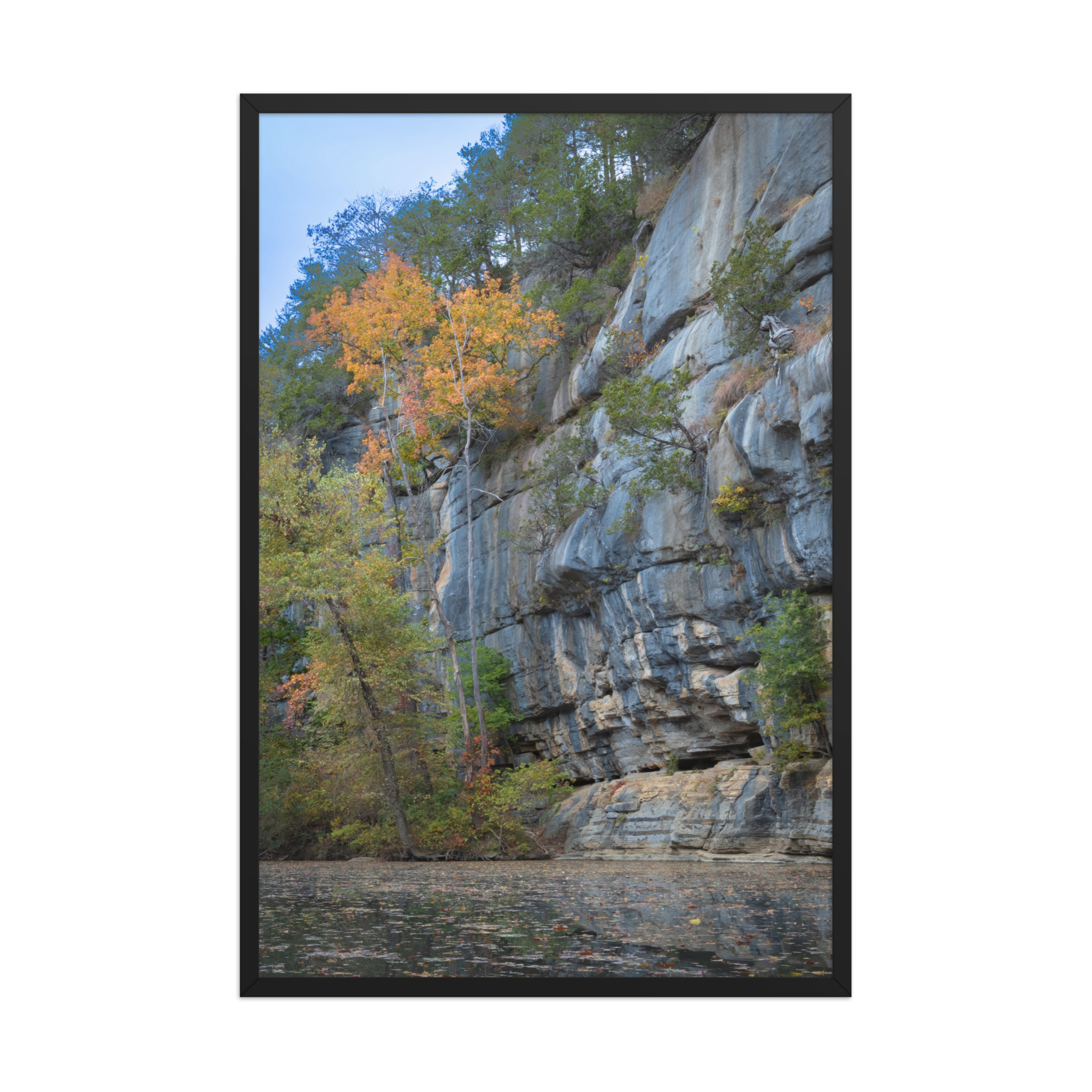 24 by 36 inch framed print, drawn to scale