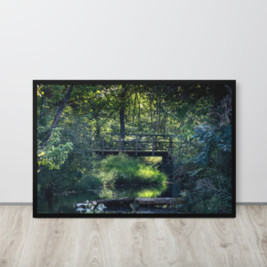 A Bridge Thru Tranquility — Framed Fine Art Print | Arkansas Landscape Photography