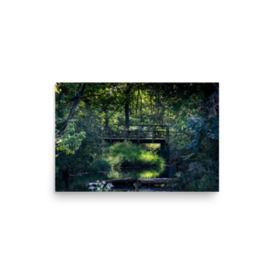 A Bridge Thru Tranquility — Unframed Fine Art Print | Arkansas Landscape Photography