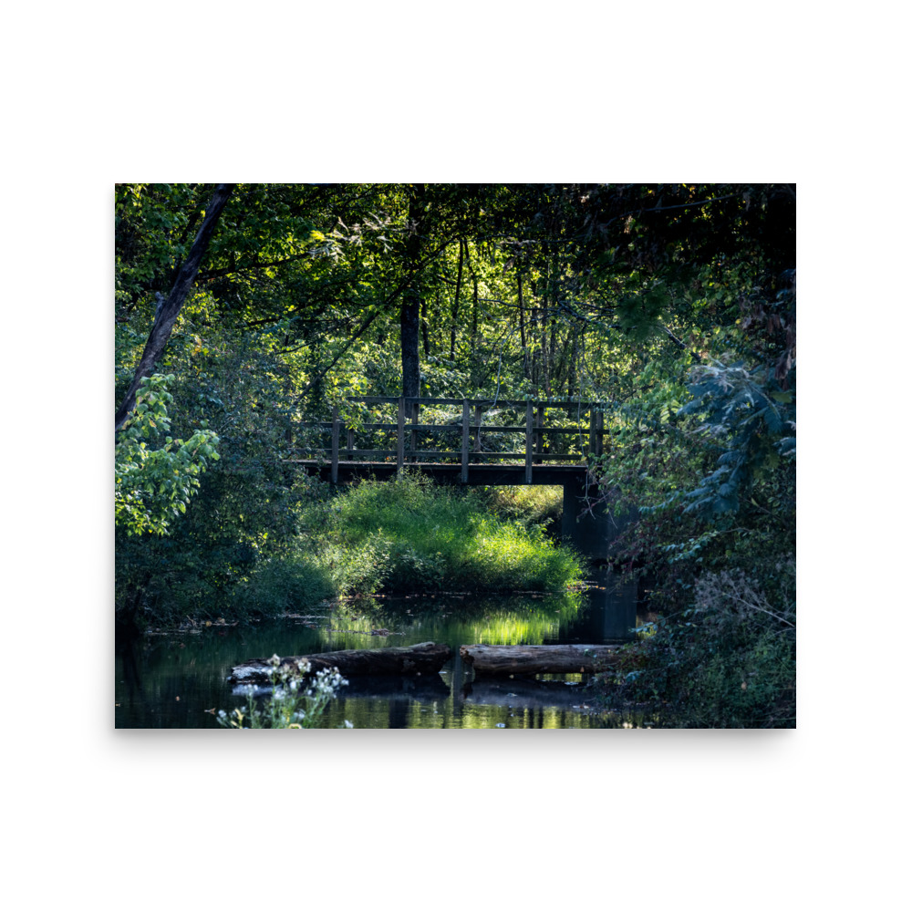 A Bridge Thru Tranquility — Unframed Fine Art Print | Arkansas Landscape Photography - Image 2