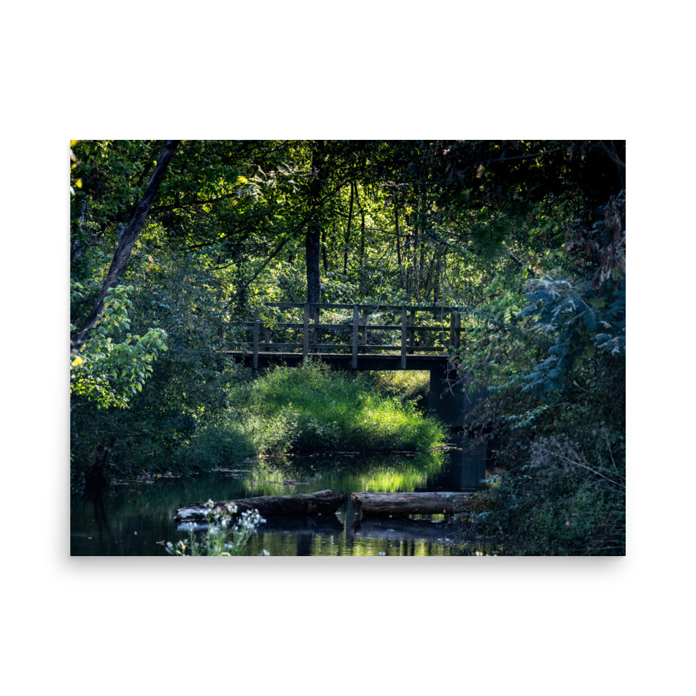 A Bridge Thru Tranquility — Unframed Fine Art Print | Arkansas Landscape Photography - Image 3
