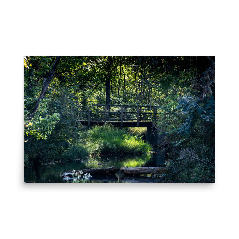 A Bridge Thru Tranquility — Unframed Fine Art Print | Arkansas Landscape Photography - Image 4
